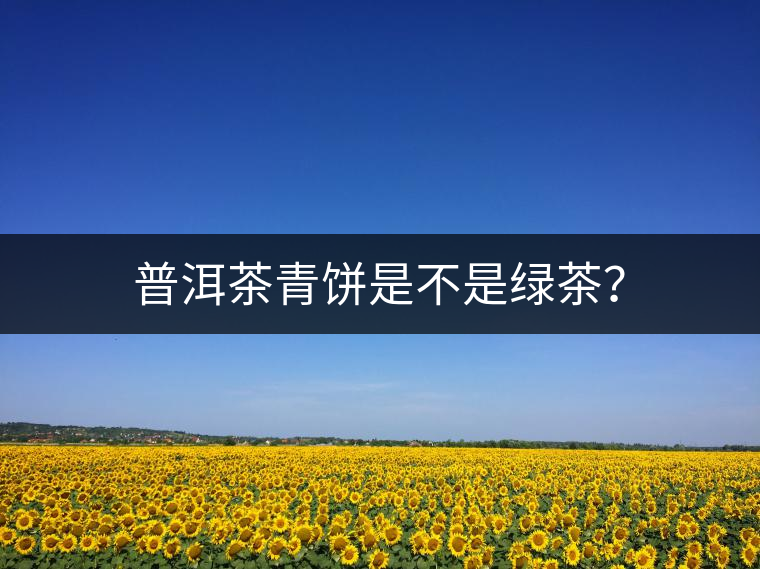 普洱茶青餅是不是綠茶？