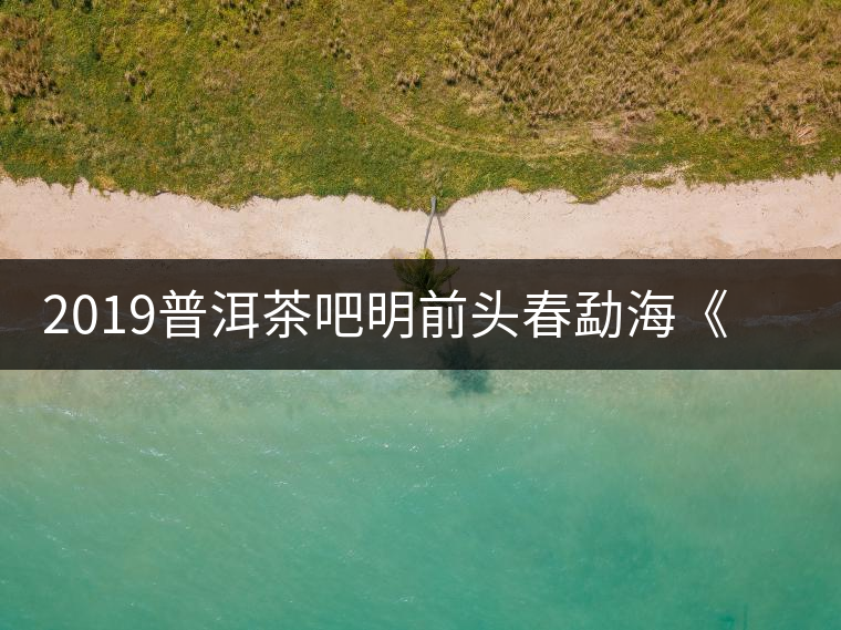 2019普洱茶吧明前頭春勐?！对鹿獍住钒撞鑳?yōu)惠訂購(gòu)