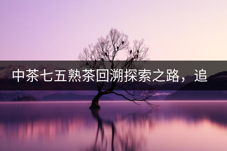 中茶七五熟茶回溯探索之路，追尋歷史印跡