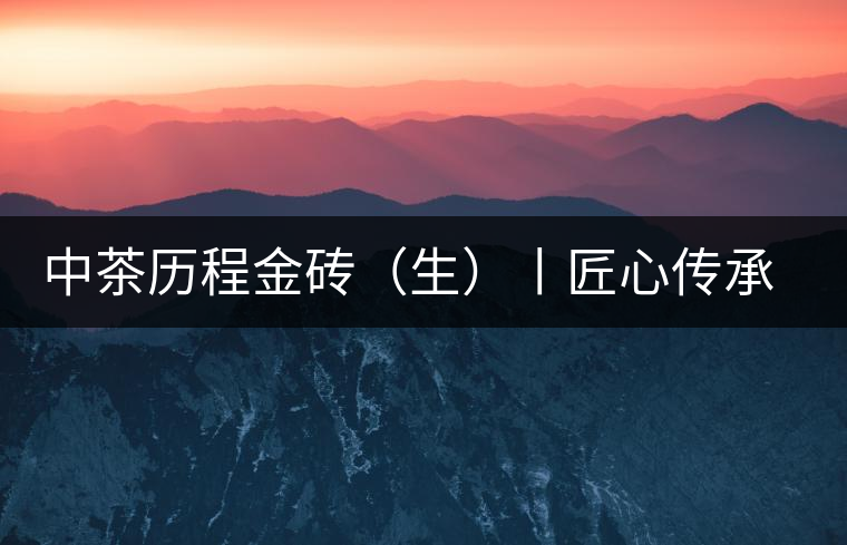 中茶歷程金磚（生）丨匠心傳承，精品迭出