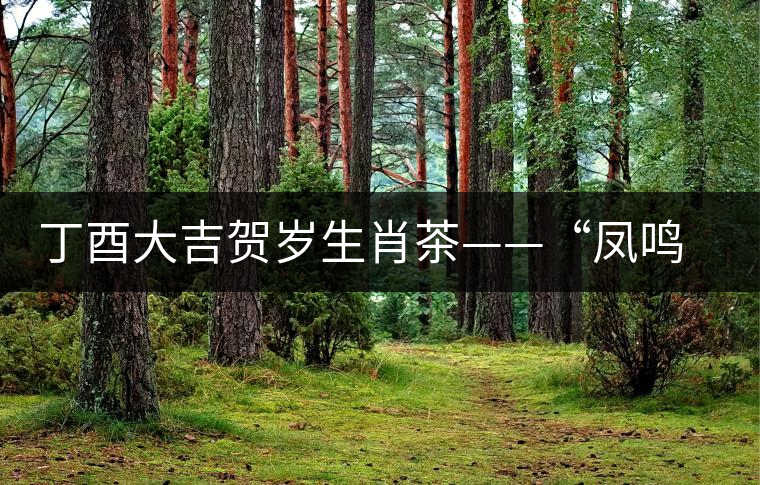 丁酉大吉賀歲生肖茶——“鳳鳴江山”即將上市 丁酉大吉賀歲生肖茶——“鳳鳴江山”即將上市