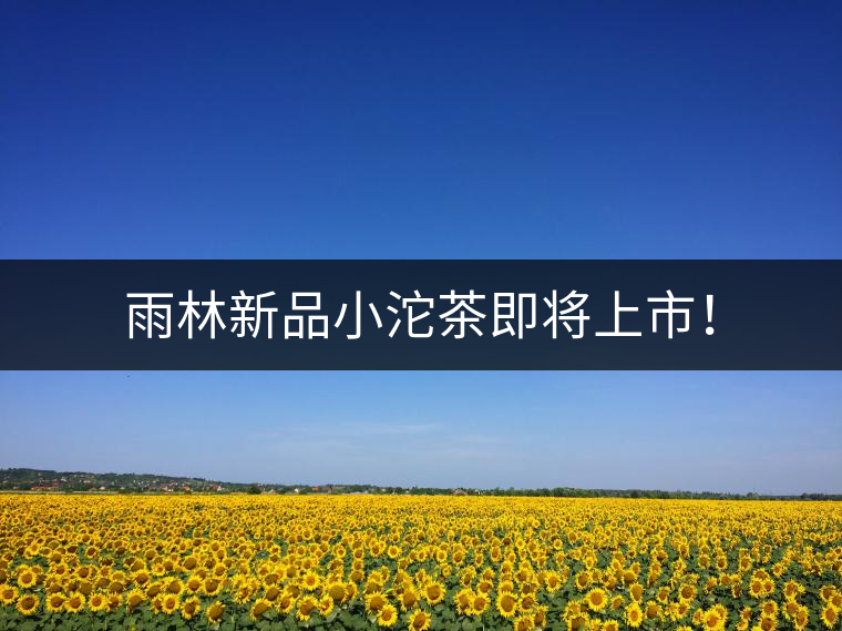雨林新品小沱茶即將上市！