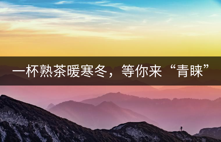 一杯熟茶暖寒冬，等你來“青睞”