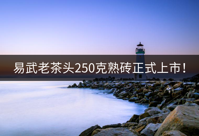 易武老茶頭250克熟磚正式上市！