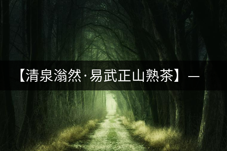 【清泉滃然·易武正山熟茶】——熨帖冬季的寒冷，來的正是時(shí)候！