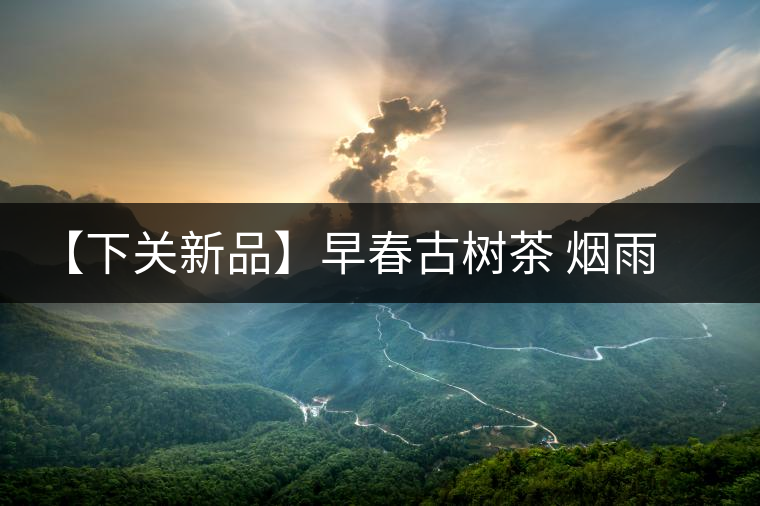 【下關(guān)新品】早春古樹茶 煙雨意濃濃 【下關(guān)新品】早春古樹茶 煙雨意濃濃