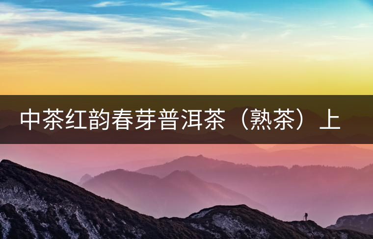 中茶紅韻春芽普洱茶（熟茶）上市