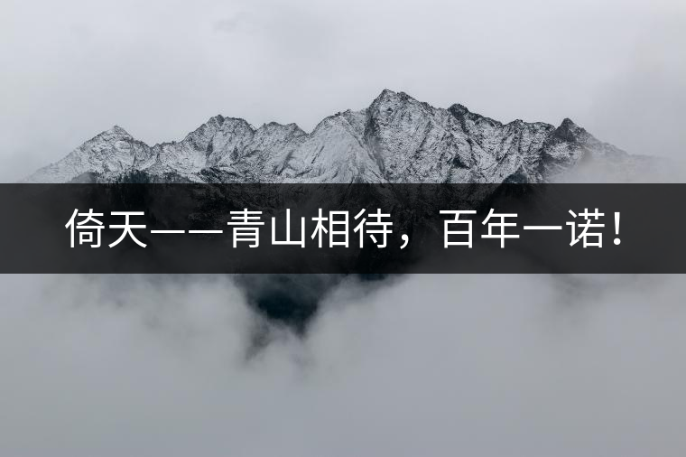 倚天——青山相待，百年一諾！