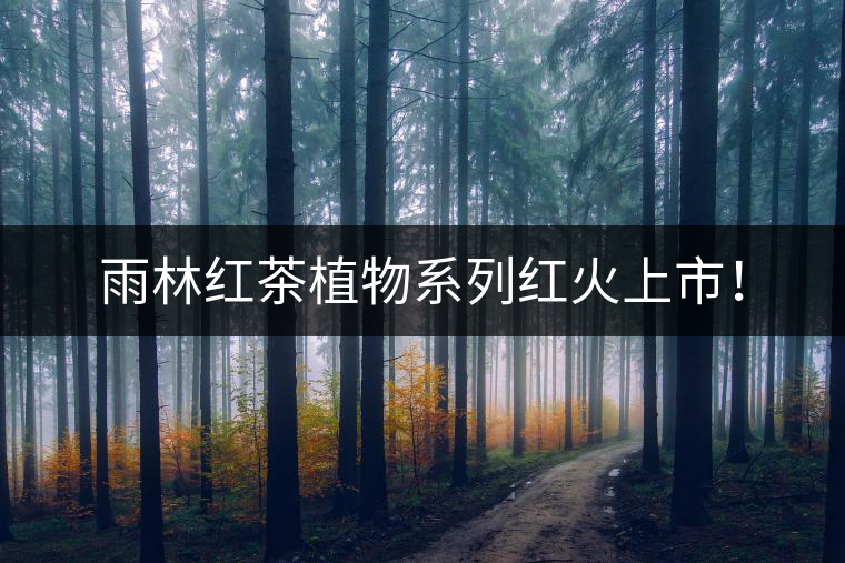雨林紅茶植物系列紅火上市！