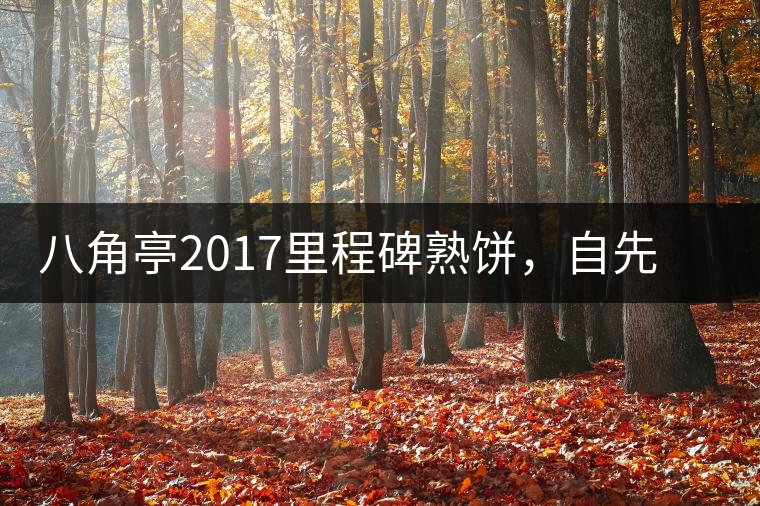 八角亭2017里程碑熟餅，自先發(fā)酵而后愛人