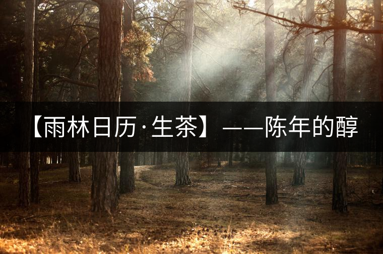 【雨林日歷·生茶】——陳年的醇，老料的香！