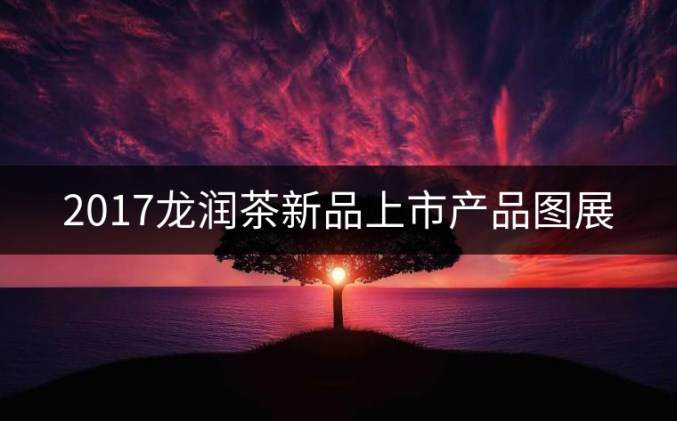 2017龍潤(rùn)茶新品上市產(chǎn)品圖展