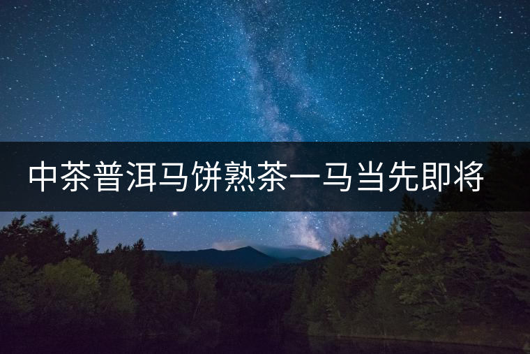 中茶普洱馬餅熟茶一馬當先即將上市 中茶普洱馬餅熟茶一馬當先即將上市