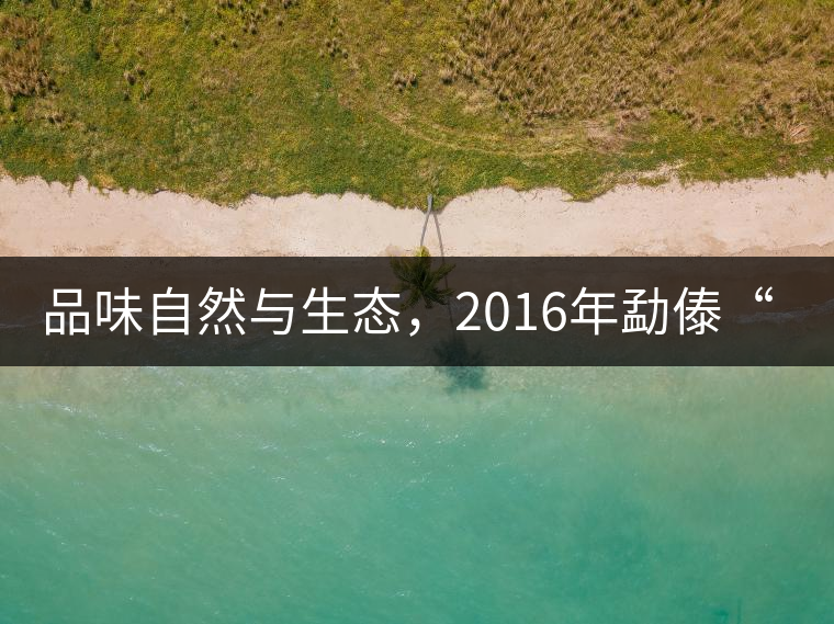 品味自然與生態(tài)，2016年勐傣“大雪山古樹(shù)茶”