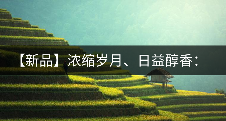 【新品】濃縮歲月、日益醇香：陳臻號(hào)陳品熟餅即將上市！