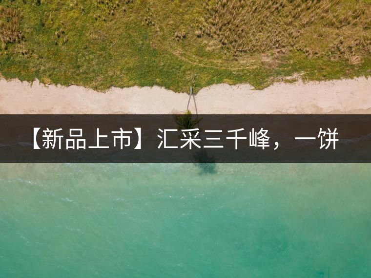 【新品上市】匯采三千峰，一餅群山鑄——群峰之峻！