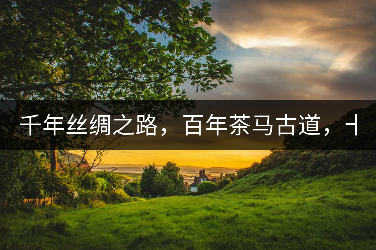 千年絲綢之路，百年茶馬古道，十年尋茶之旅，鑄造Puertea（十年紀念茶）