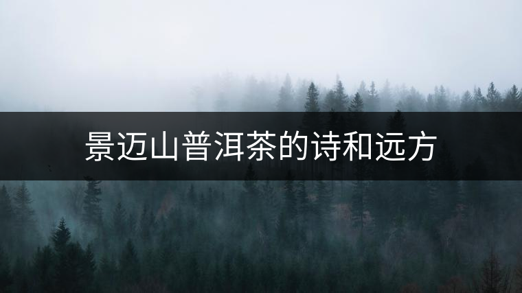 景邁山普洱茶的詩(shī)和遠(yuǎn)方