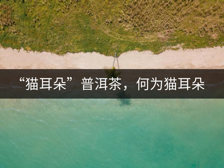 “貓耳朵”普洱茶，何為貓耳朵？