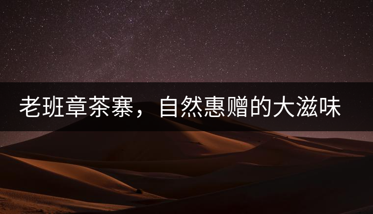 老班章茶寨，自然惠贈的大滋味，大滿足