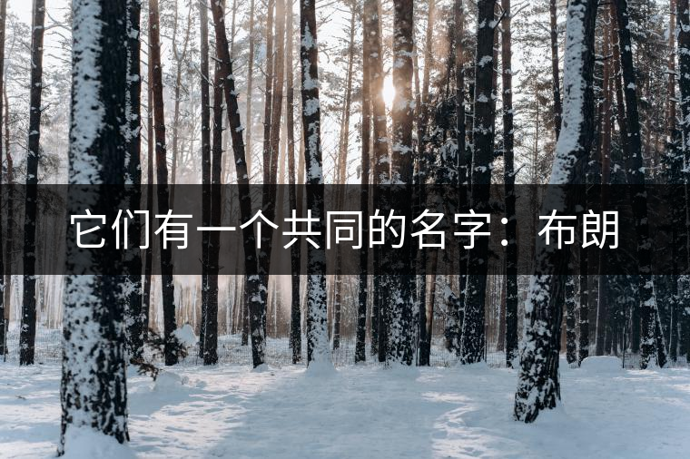 它們有一個(gè)共同的名字:布朗 它們有一個(gè)共同的名字:布朗