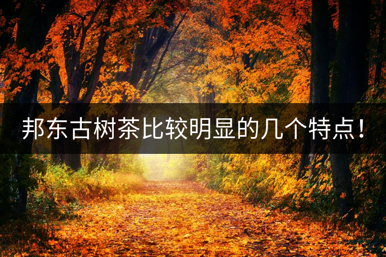 邦東古樹茶比較明顯的幾個特點！