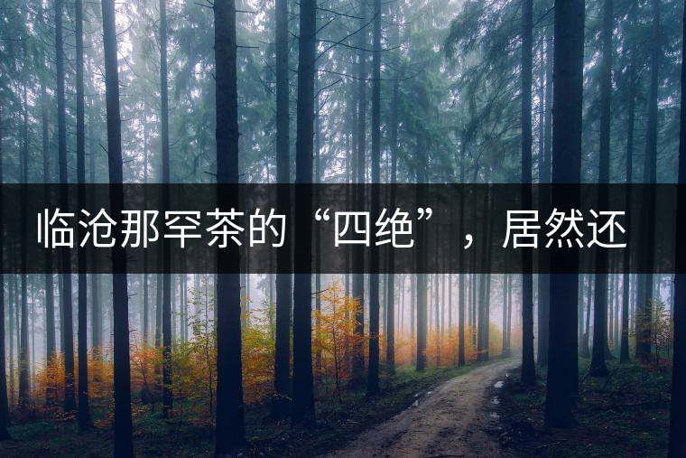 臨滄那罕茶的“四絕”，居然還沒說到它的品質(zhì)