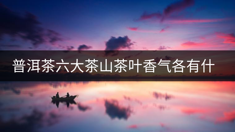普洱茶六大茶山茶葉香氣各有什么特點(diǎn)？
