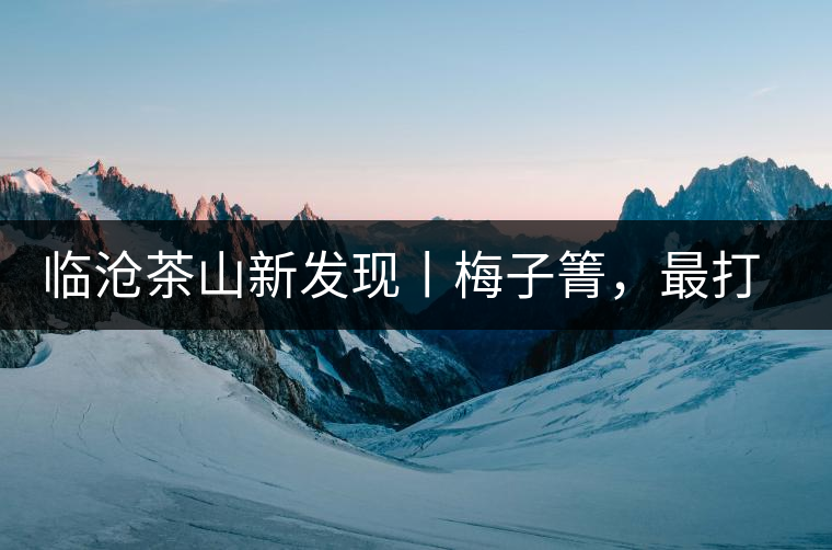 臨滄茶山新發(fā)現(xiàn)丨梅子箐，最打動自己的茶山