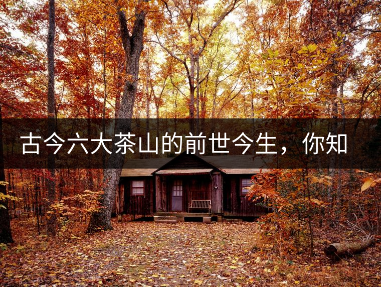 古今六大茶山的前世今生，你知多少？