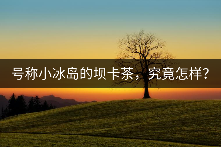 號稱小冰島的壩卡茶，究竟怎樣？