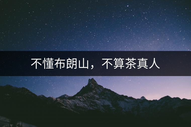 不懂布朗山，不算茶真人