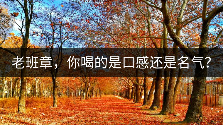 老班章，你喝的是口感還是名氣？