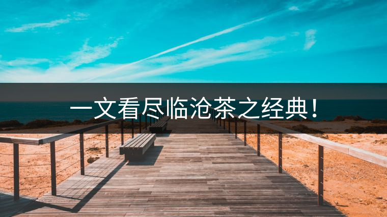 一文看盡臨滄茶之經(jīng)典！