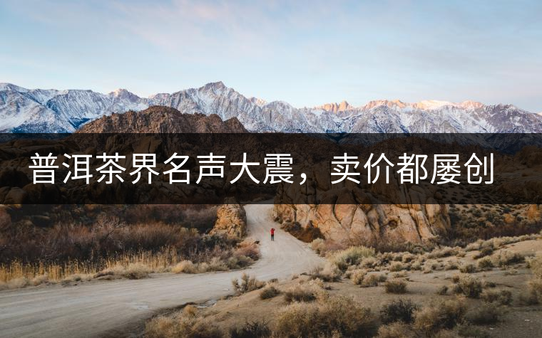 普洱茶界名聲大震，賣價都屢創(chuàng)新高竟然是它