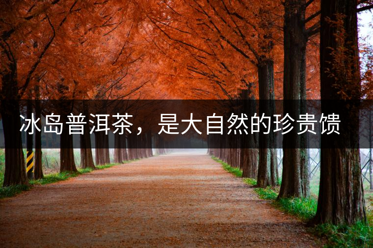 冰島普洱茶，是大自然的珍貴饋贈