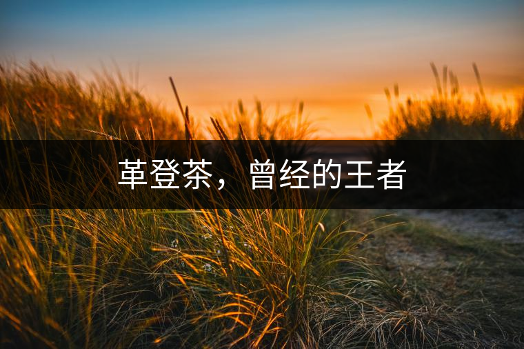 革登茶，曾經(jīng)的王者