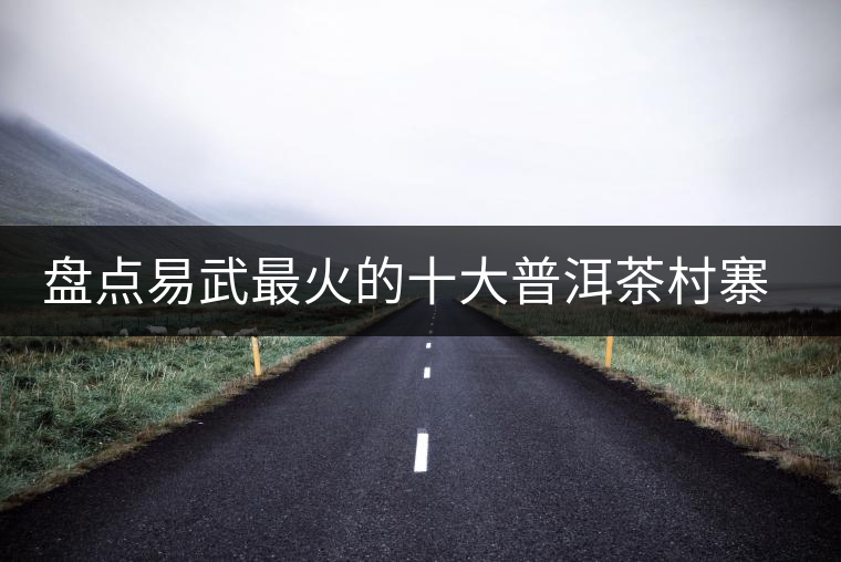 盤(pán)點(diǎn)易武最火的十大普洱茶村寨（排名不分先后）