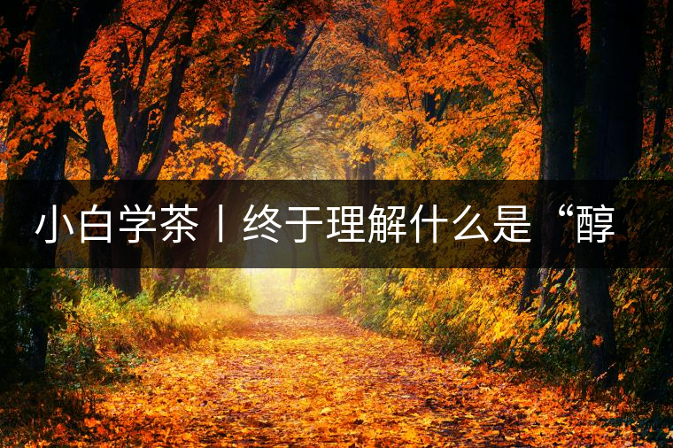 小白學茶丨終于理解什么是“醇厚、耐泡，回甘”了