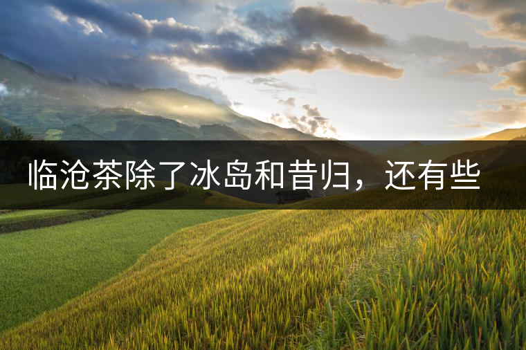 臨滄茶除了冰島和昔歸，還有些什么？