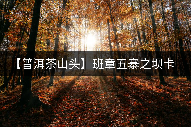 【普洱茶山頭】班章五寨之壩卡囡 【普洱茶山頭】班章五寨之壩卡囡