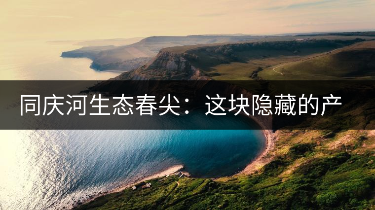 同慶河生態(tài)春尖：這塊隱藏的產(chǎn)茶圣地，你知道嗎？