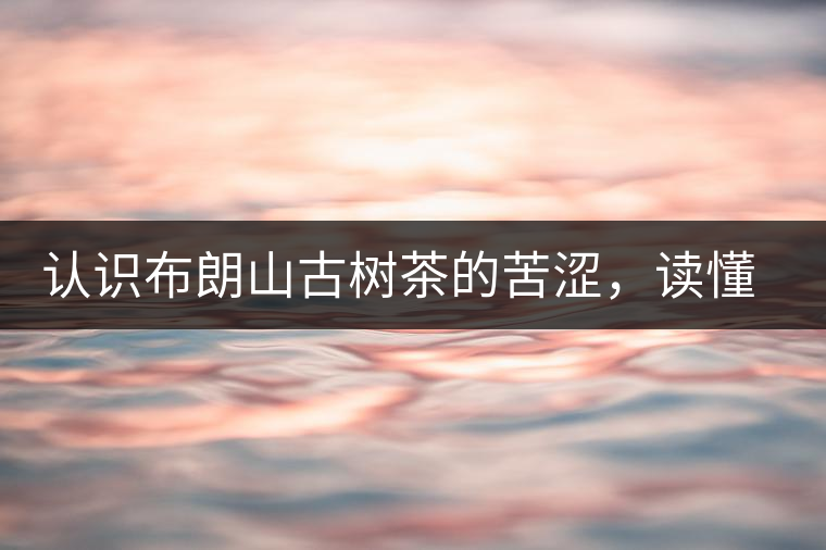 認(rèn)識布朗山古樹茶的苦澀，讀懂勐海普洱茶