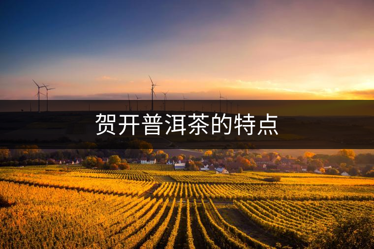 賀開普洱茶的特點