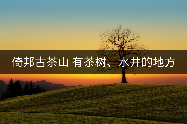 倚邦古茶山 有茶樹、水井的地方