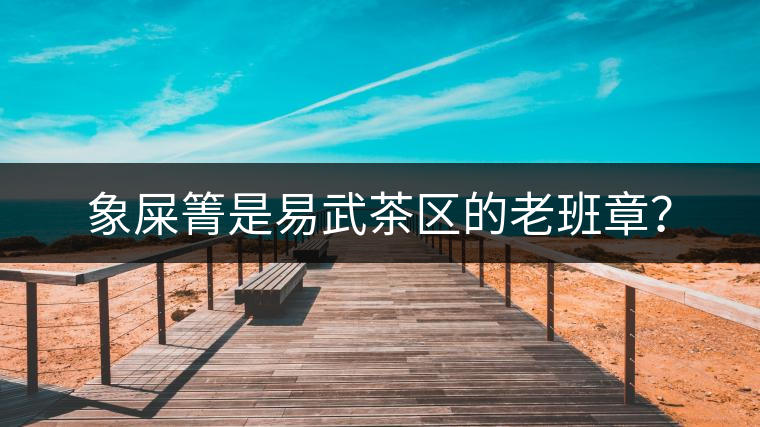 象屎箐是易武茶區(qū)的老班章？