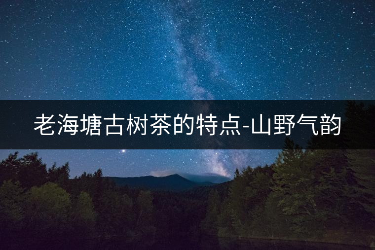 老海塘古樹茶的特點-山野氣韻 老海塘古樹茶的特點-山野氣韻