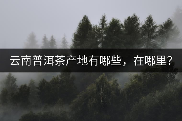 云南普洱茶產(chǎn)地有哪些，在哪里？