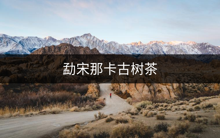 勐宋那卡古樹茶