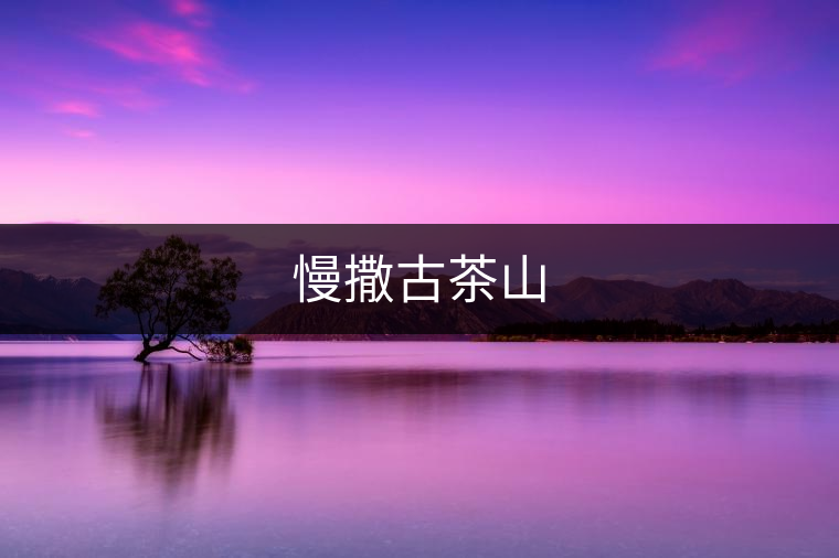 慢撒古茶山 慢撒古茶山